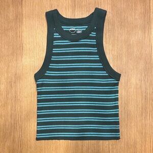 Aerie Striped Forest Green and Turquoise Crop Tank Top